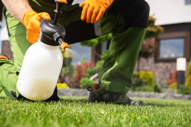 Best Pest Control for Businesses  in Fish Hawk, FL