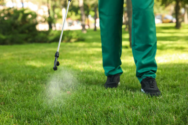Best Pest Removal Services  in Fish Hawk, FL