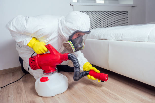 Best Best Pest Control Companies  in Fish Hawk, FL