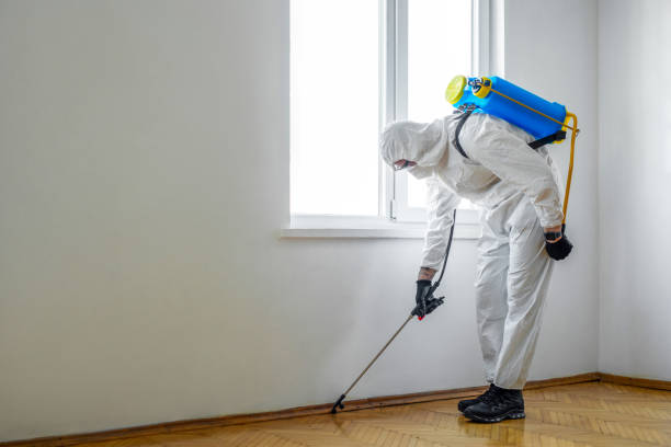 Best Cockroach Control Services  in Fish Hawk, FL