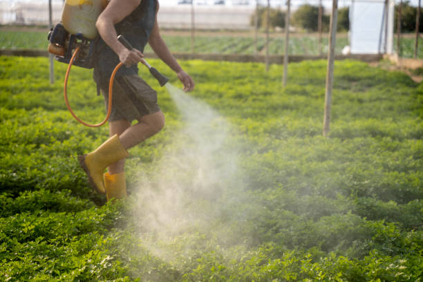 Best Wasp Removal Services  in Fish Hawk, FL