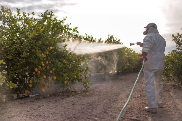 Best Mosquito Control Services  in Fish Hawk, FL