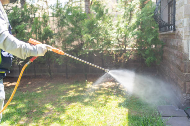 Best Termite Control Services  in Fish Hawk, FL