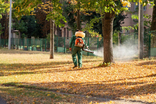 Best Local Pest Control Services  in Fish Hawk, FL