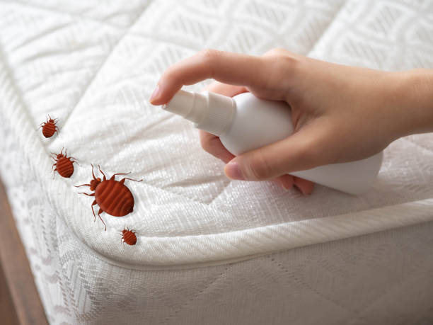 Best Flea Control Services  in Fish Hawk, FL