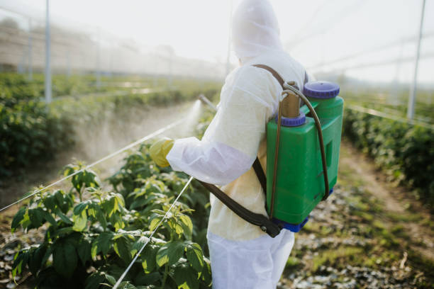 Best Bed Bug Extermination  in Fish Hawk, FL